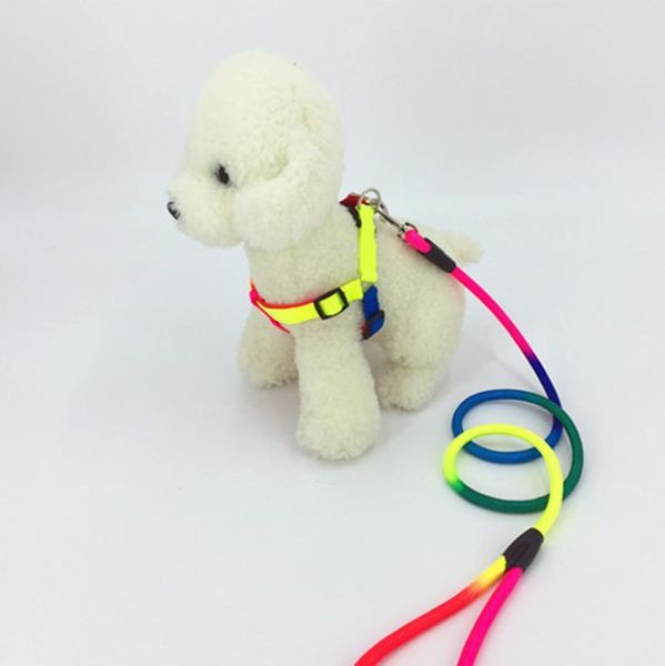 

dog collars & leashes adjustable pet puppy harness for small nylon collar leash lead s size d395