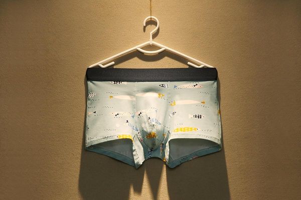 

underpants boxer mens underwear men cotton male panties shorts comfortable, Black;white