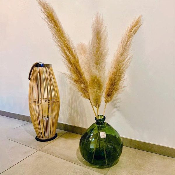 

decorative flowers & wreaths 6/8pcs pampas grass bouquet natural dryness reeds plant stems home offices garden decoration diy art craft wedd