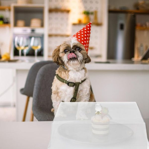 

kitchen storage & organization 1pc food preservation cover rectangular dish for home