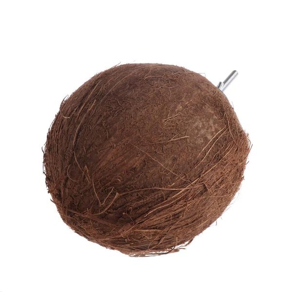 

bird cages 2021 parrot finch nest natural coconut shell hanging chain cage toys swing house pet supplies