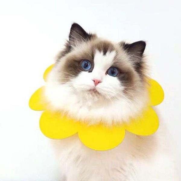 

cat collars & leads pet elizabeth circle collar flower shaped neck recovery healing prevent licking anti-bite