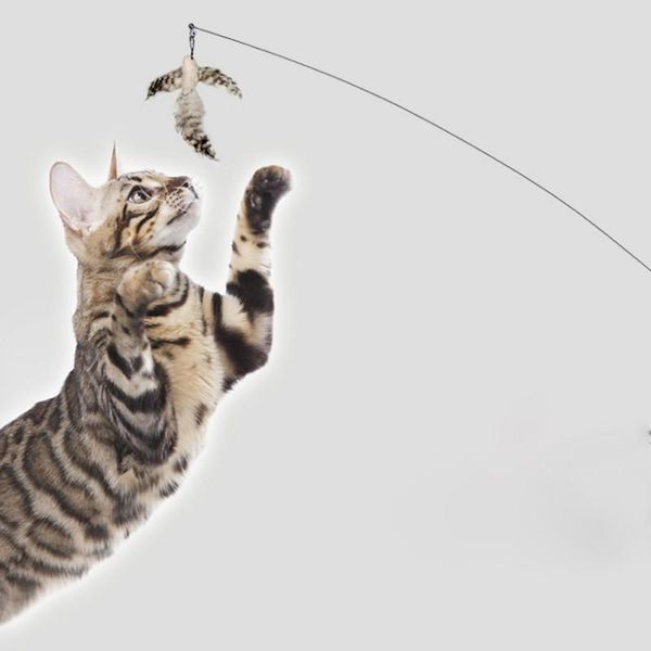 

pet cat toy design bird plush feather plastic cats catcher teaser 3 colors toys