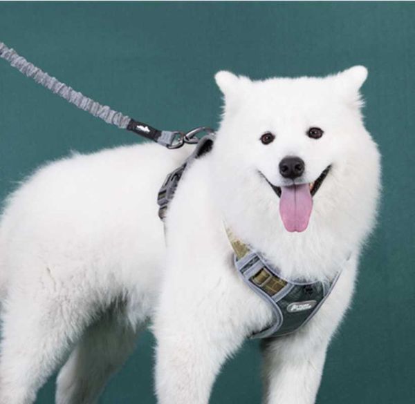 

dog collars & leashes pet vest/dog vest