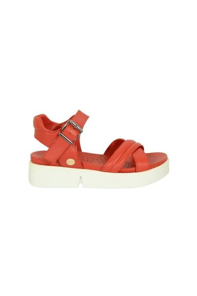 

sandals 1220 women's leather, Black