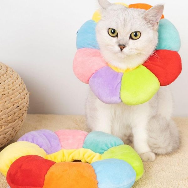 

cat collars & leads elizabeth collar pet anti-scratch anti-licking headgear posrative protective sleeve supplies