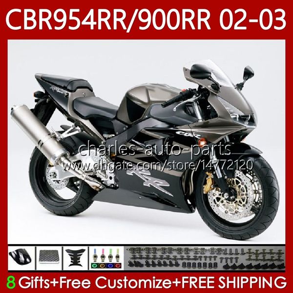 Karosserie-Kit für HONDA CBR900 CBR954 RR CBR 954 900 RR CC 2002 2003 Karosserien 61No.59 CBR 900RR 954RR 900CC 02-03 CBR954-RR CBR900RR CBR954RR 02 03 OEM Champagner Verkleidung