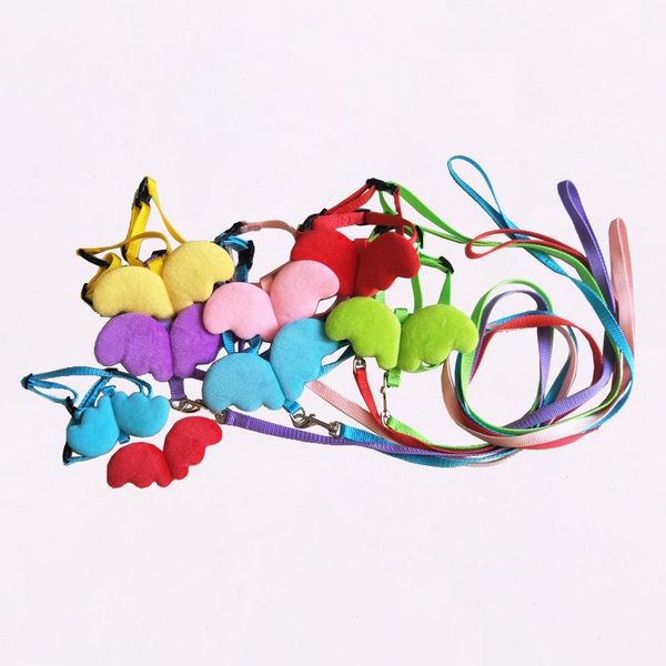 

dog collars & leashes pet cat products wing heart removable leads collar suit