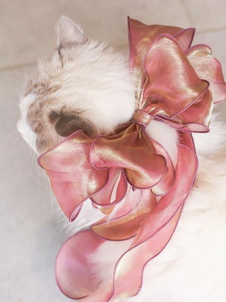 

cat costumes custom bow jewelry ragdoll long hair saliva towel bib po dog headdress pet