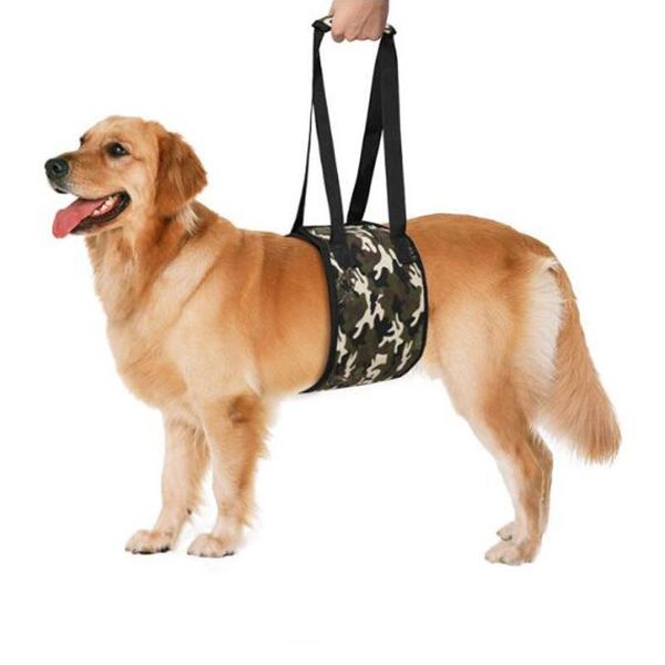 

dog collars & leashes lift harness adjustable straps disabled carrier sling rehabilitation large for elderly injuired walking