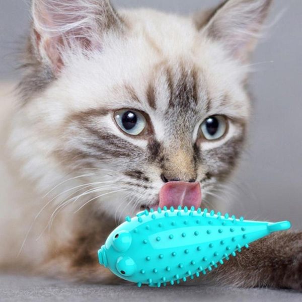 

cat toys 70% droppet kitten tpr puffer fish toothbrush catnip molar soft bite chew play toy