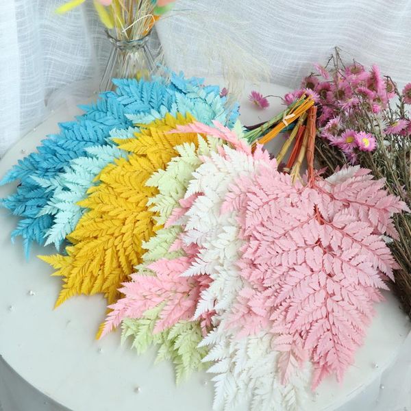 

decorative flowers & wreaths 10pcs/lot,natural fresh preserved fiddlehead ferns,eternal soft pole flower leaves for wedding party home decor