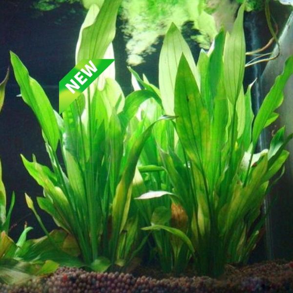 

artificial plastic water plant grass aquarium decorations plants fish tank flower ornament decor aquatic accessories