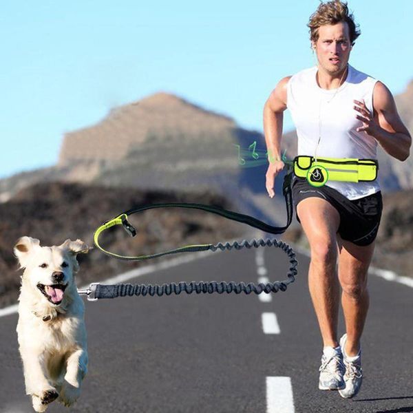 

hands sport leash for dog running waist bag jogging medium leashes nylon elastic with pouch bags fashion m green collars &