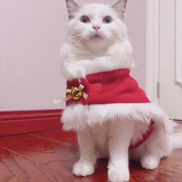 

cat costumes 2021 christmas pet small dog supplies mini cold-proof red cloak neck bell shawl
