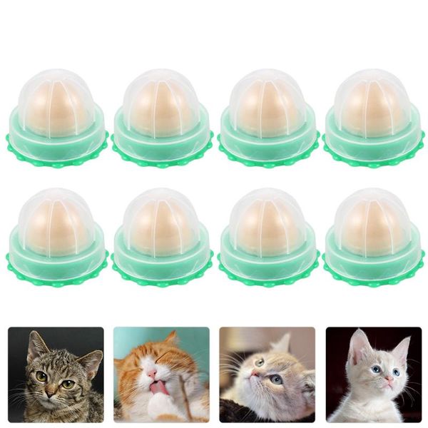 

cat toys 8pcs catnip vitamin pudding safe kitten snack (random flavor)