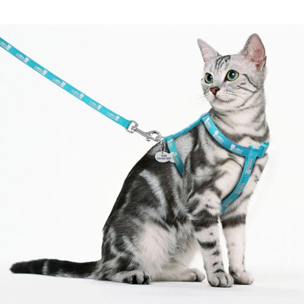 

cat collars & leads personalized kitten harness nylon tag and leash anti-lost engraved fish name phone number