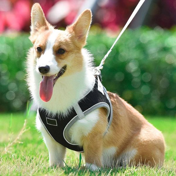 

cat dog chest strap pet adjustable breathable vest jacket easy control reflective harness with leash for walking black collars & leashes