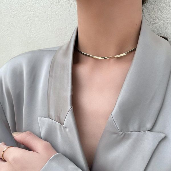 

chains kpop snake necklace for women aesthetic thin layered chain on the neck minimalist pendant chocker jewelry 2021 collar, Silver