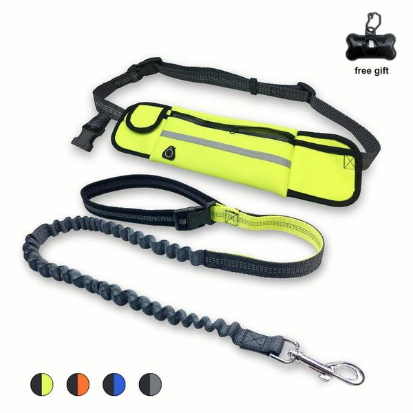 

dog collars & leashes elastic waist bag leash for jogging walking pet product adjustable nylon with reflective strip accessories