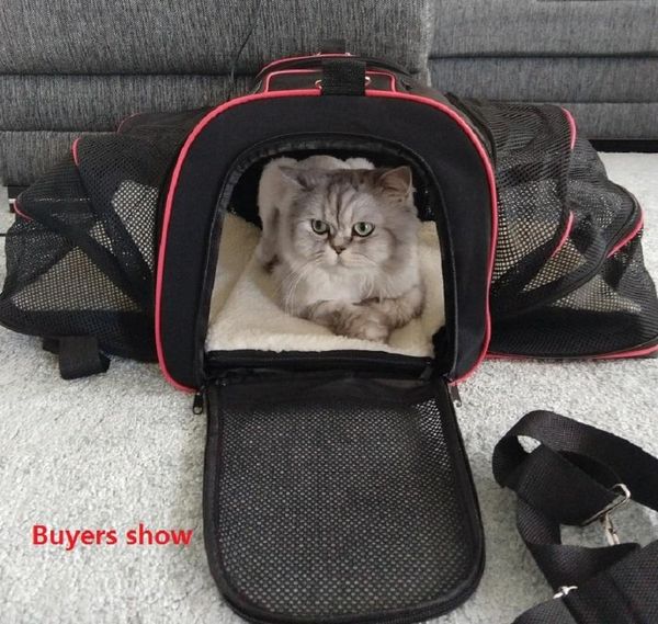 

dog apparel expandable pet carrier airline approved car seat for small dogs cats soft sided crate portable kennel travel bag