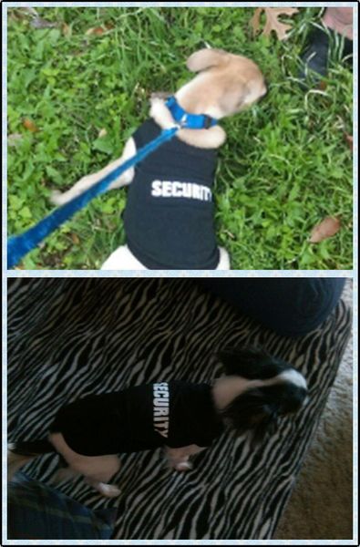 

dog apparel fashion pet cat cute princess t-shirts clothes vest summer puppy costumes quality