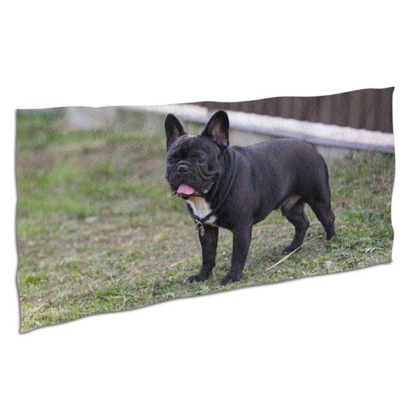 

towel myna dog printing quick drying microfiber bath surfing yoga beach gym fashion pad