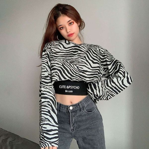 

women's sweaters sweater amyway street zebra print overlay waist strap two piece loose mk48, White;black