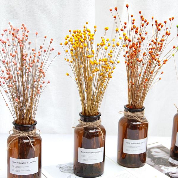 

decorative flowers & wreaths 50pcs/lot flower small natural dried bouquet dry press mini pography po backdrop decor