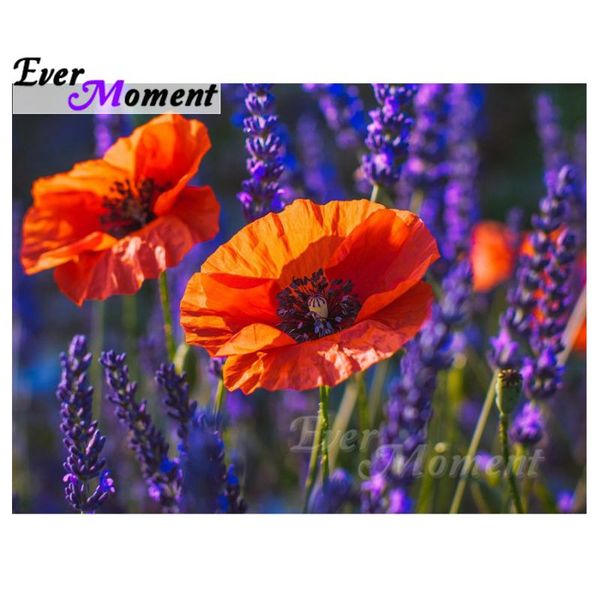 

diamond painting ever moment mosaic art paintings flower poppies scenery full square handicrafts diy leisure at home wall decor 4y1382