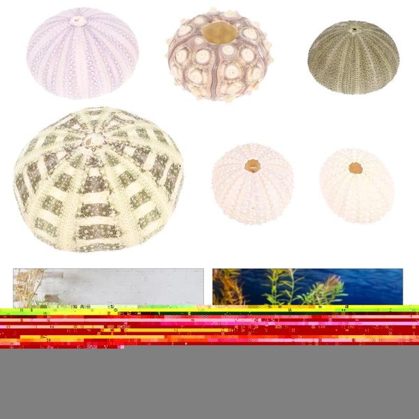 

novelty items 6pcs sea urchin decors aquarium decorations ornaments desktop