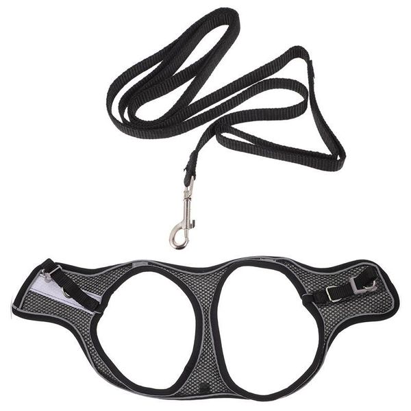 

cat collars & leads 1 set harness leash pulling rope and collar outdoor walking