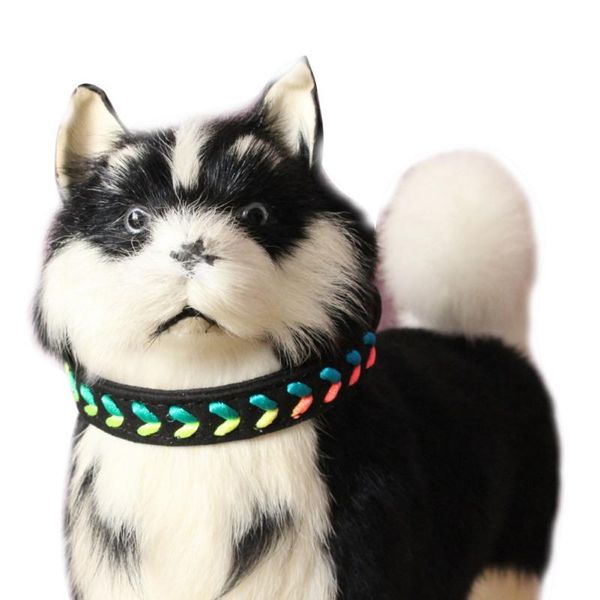 

personalized dog collar braided custom leather puppy cat pet collars for small medium dogs basic & leashes