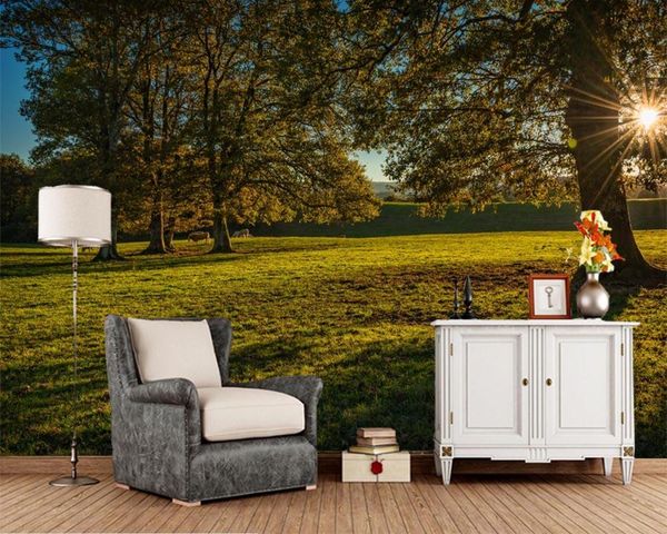 

wallpapers papel de parede grassland trees rays of light nature wallpaper,living room bedroom tv background kitchen wall papers home decor