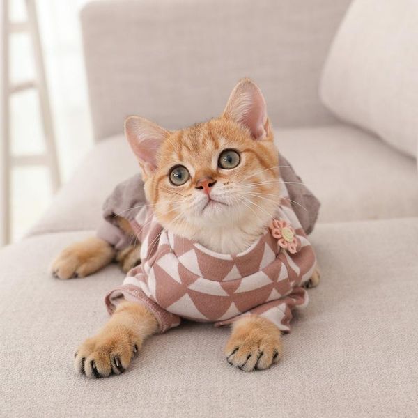 

cat costumes winter clothes knitted pet sweater for small dogs puppy vest shirts