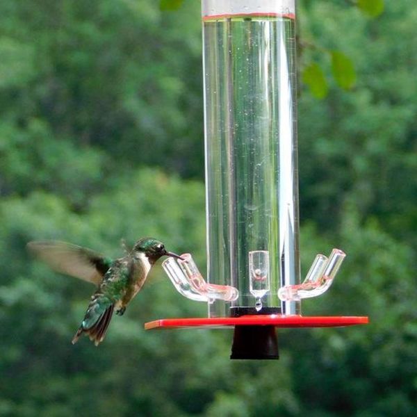 

other bird supplies plastics water feeder bottle hanging hummingbird garden outdoor plastic flower pet