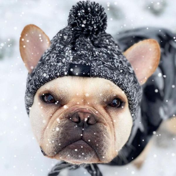 

dog apparel winter warm pet hat cap windproof woolen for small medium frenchie dogs