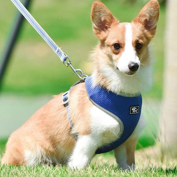 

dog leads omnidirectional reflective vest type breathable mesh chest harness traction rope night walking loss prevention collars & leashes