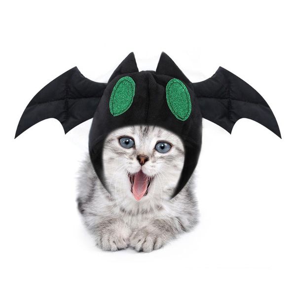 

pet hat, teddy dressed up as bat head, cat cover supplies for hat costumes