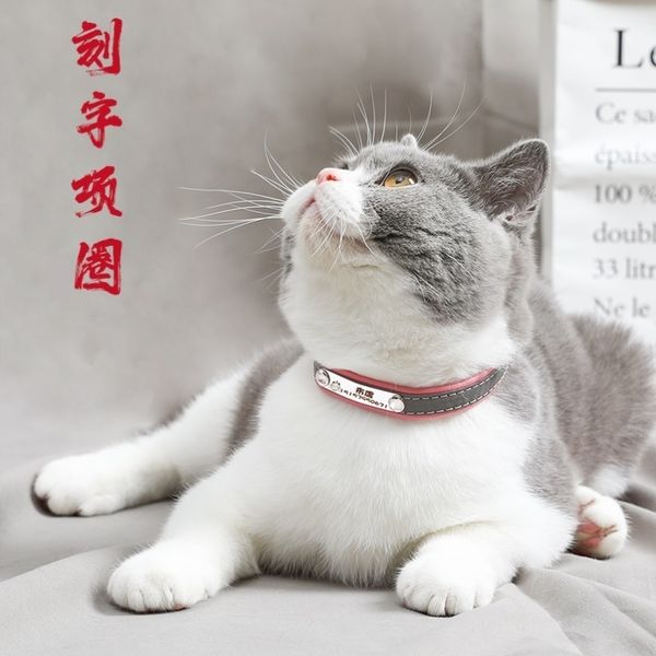 

dog tag with collar to prevent loss