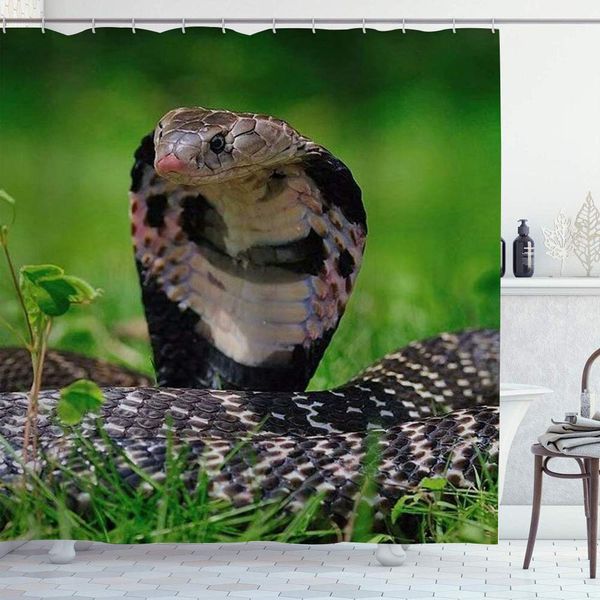 

183 shower curtain set with 12 hooks,chic adults kids cobra sits on the grass image,machine washable,72" x 72"