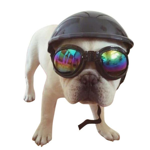 

dog apparel 2021 pet cat helmet hat cap costume accessory supplies motorcycle abs plastic toy with sunglasses