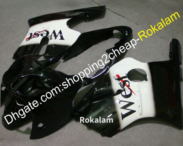 ZX-12R ZX 12R 02 03 04 Sport Moto Verkleidung Für Kawasaki ZX12R 2002 2003 2004 Motorrad Körper Verkleidungen (spritzguss)