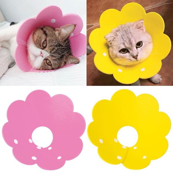 

cat collars & leads recovery collar elizabethan wound healing protective cone for kitten