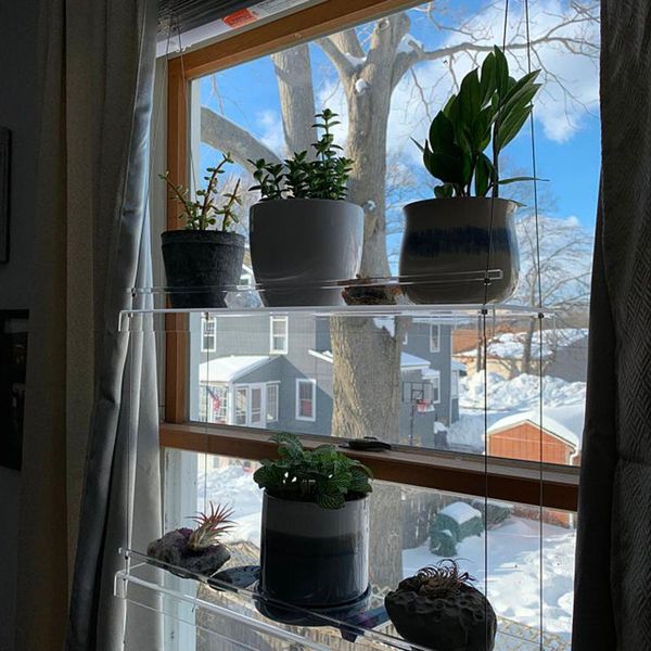 

shelf for plants window bathroom or kitchen plant hanging shelves stand indoor garden decor storage & organization