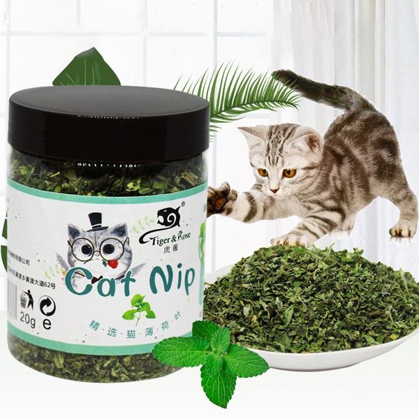 

cat toys catnip cattle grass flavor funny organic 100% natural healthy safe edible treating pet supplies