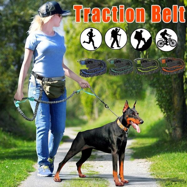 

dog collars & leashes pet retractable leash reflective elasticity running training collar jogging metal pets acessorios