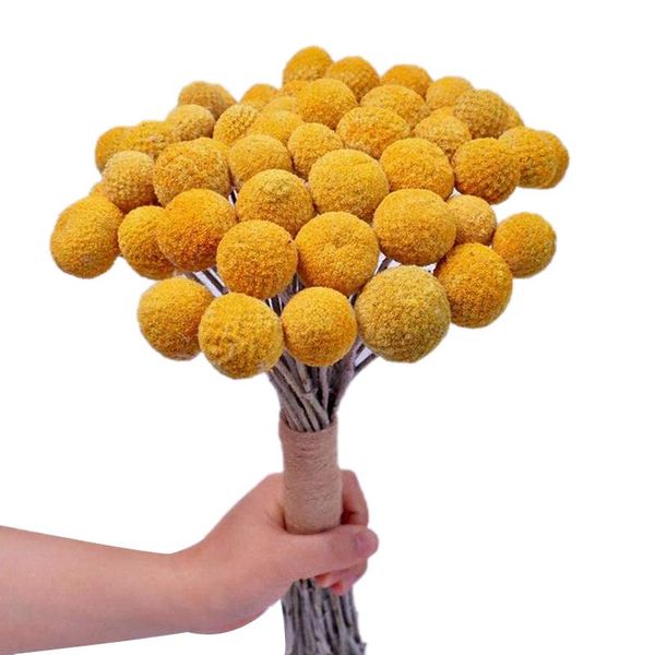 

decorative flowers & wreaths natural dried flower yellow ball bouquet bunch, real freshly harvested plant decoration for home crafts
