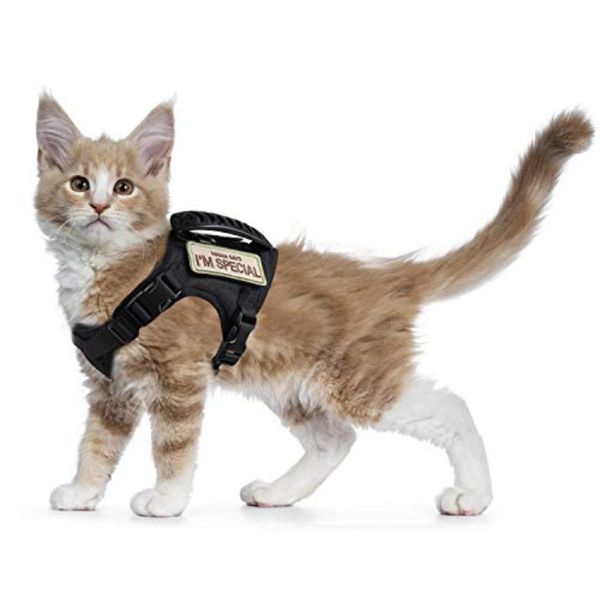 

cat costumes amazingbuy clothtactical harness for walking escape proof, soft mesh adjustable pet vest large cat,small dog