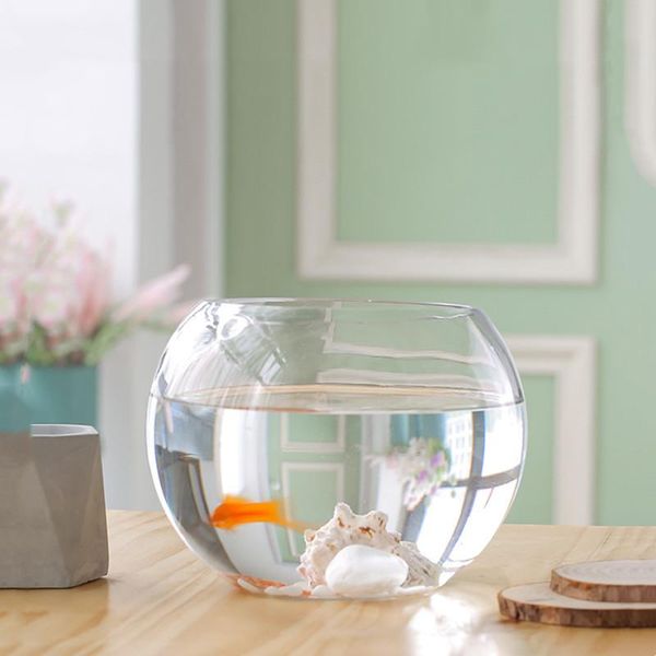 

novelty items 8pcs/pack diameter=12cm middle size open glass terrarium vase home decoration creative aquarium fishbowl friend gift